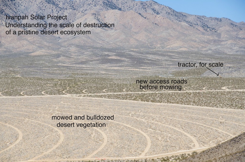 Ivanpah Destruction 3